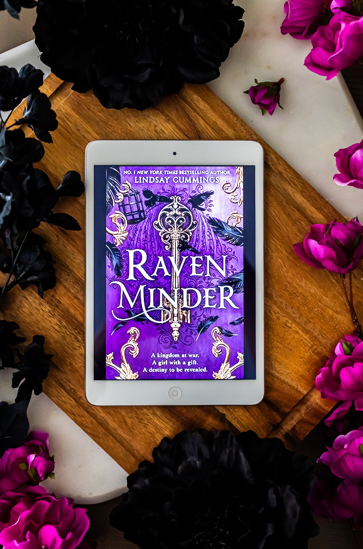 Raven Rider Book Ravenminder Book Review - What Lara Reads