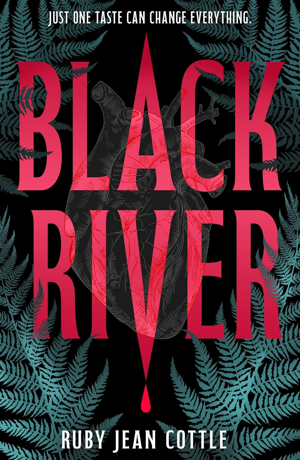 Black River Book Cover
