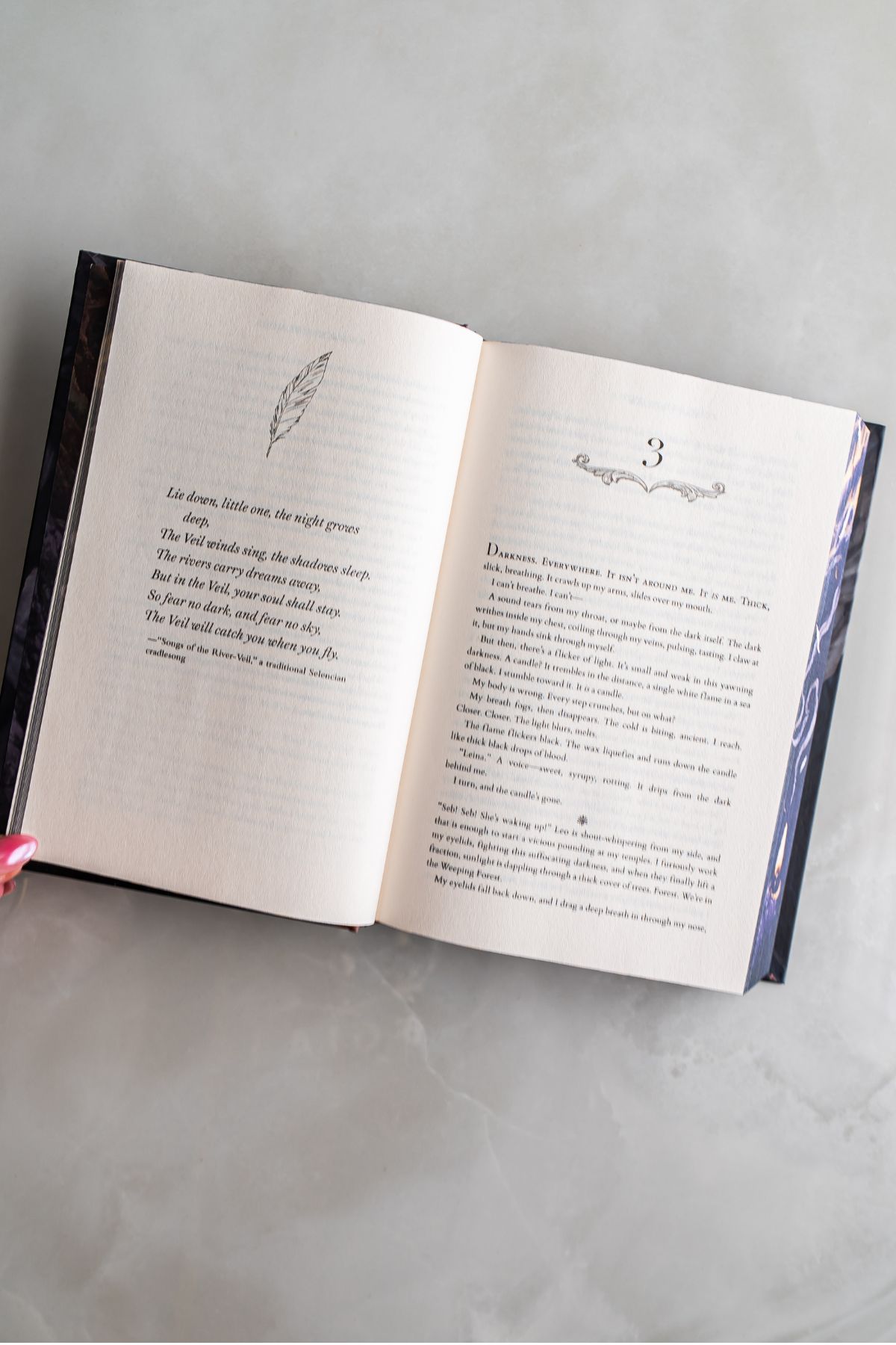 inside of the book, kissed by the gods.